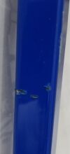 SMITH & NEPHEW T-MAX BEACH CHAIR CART