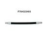 STERIS Р764323493 BOILER HOSE ASSEMBLY