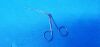V. MUELLER AU-14122 Forceps
