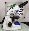 FISHER SCIENTIFIC 11350104 Microscope