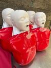 LIFEFORM Airway Larry Training Aids