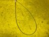 PENTAX Biopsy KW2411S Autoclavable Forceps