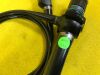 OLYMPUS BF-3C30 Bronchoscope