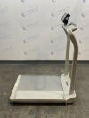 HEALTH O METER PROFESSIONAL 2500KL Scale