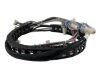 GE 10558 8317 40830 Cable Harness Bone Densitometer