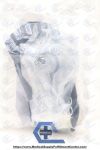 RESPIRONICS 1018593 | | IN-DATE | BOX OF 10 | Philips PerformaTrak oro-nasal mask EE, medium