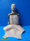 Laerdal Resusci Anne Torso CPR Manikin W/ Storage Case