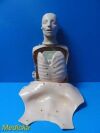 Laerdal Resusci Anne Torso CPR Manikin W/ Storage Case