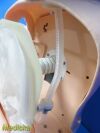 Laerdal Resusci Anne Torso CPR Manikin W/ Storage Case