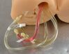 BLUE PHANTOM Full-Torso FAST Trauma Exam Ultrasound Training Model W/ Case - 193940 Training Aids
