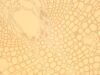 LEICA DM6000 M Microscope