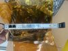GE 2294300-19  2294300-19 MGD SCP2 Board for GE Open MRI  MRI Scanner