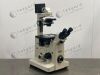 NIKON TE2000 INVERTED MICROSCOPE WITH NARISHIGE MANIPULATORS Diaphot Microscope