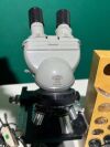 OLYMPUS tokyo 240085 Microscope