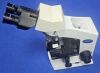 OLYMPUS CX21 Laboratory Microscope