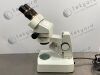 WESTOVER MZ-2200 Microscope