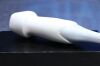 SIEMENS/ACUSON 4V1c Ultrasound Transducer