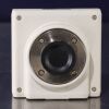 NIKON Digital Sight DS-Fi1 K14391 Camera
