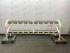 CYBEX 5380A001-91 2 TIER 10 PAIR DUMBBELL RACK @