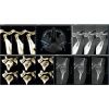 HDX WILL Dentri-C a Pan + Ceph + CBCT with PC, Software, Installation, Shipping and Warranty Dental X-Ray