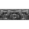 HDX WILL Dentri-C a Pan + Ceph + CBCT with PC, Software, Installation, Shipping and Warranty Dental X-Ray