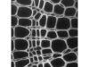 THERMO SCIENTIFIC CellInsight CX7 Digital Imaging System