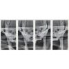 SIRONA Orthophos XG Pan with PC, Software, Installation, Shipping and Warranty Dental X-Ray