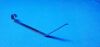 ZIMMER 6290-00-076 Retractor