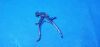 R. WOLF 8840.603 Forceps