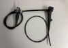 OLYMPUS GIF-Q180 Gastroscope