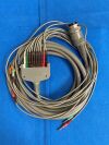 QUINTON 19420-001 EKG