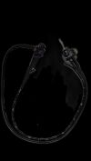 OLYMPUS GIF-Q180 Gastroscope