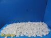 ABBOTT Lot of 247  Nutrition 00081 Volu-Feed Disposable Dispensing Cap
