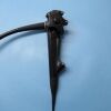 OLYMPUS GIF-N260 Endoscope