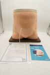 NASCO LF01027 | | EACHES | Life Form Medical Peritoneal Dialysis Simulator with Case