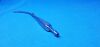 CODMAN 70-4024 Yankauer Suction Tube