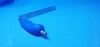 TIC 2313 Retractor