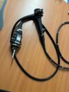 OLYMPUS CFH190L Colonoscope