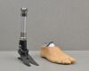 BLATCHFORD Echelon Prosthetic Foot L8 W/ APC Receiver and Foot Shell Size 28 - 196139 Prosthetics