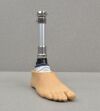 BLATCHFORD Echelon Prosthetic Foot L8 W/ APC Receiver and Foot Shell Size 28 - 196139 Prosthetics