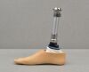 BLATCHFORD Echelon Prosthetic Foot L8 W/ APC Receiver and Foot Shell Size 28 - 196139 Prosthetics