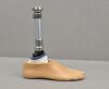 BLATCHFORD Echelon Prosthetic Foot L8 W/ APC Receiver and Foot Shell Size 28 - 196139 Prosthetics