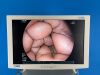 FUJINON VP-4450HD With EG-600WR & EC-600WL Endoscopy Stack System