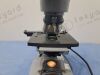 AMERICAN OPTICAL 1051 Microscope