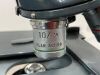 AMERICAN OPTICS 1036A Microscope