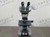 AMERICAN OPTICS 1036A Microscope