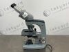 AMERICAN OPTICS 1036A Microscope