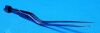 STINGRAY 24270816 Instrument