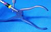 W. LORENZ 01-0251 Forceps