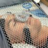 FISHER & PAYKEL Zest CPAP Mask